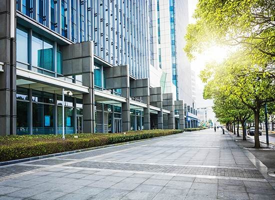 street with tall buildings and trees